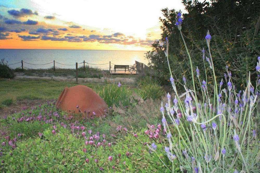 Paphos Blue Coral Beach Villas מראה חיצוני תמונה